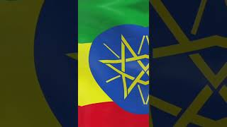 Les drapeaux Africains  shorts culture africa drapeau ethiopia [upl. by Adnilahs]