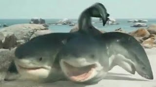 6Headed Shark Attack 2018  6 Headed Shark Screen Time [upl. by Eduj]