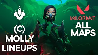 C Viper Molly Lineups 2024 for all Maps  Valorant [upl. by Eanahc]