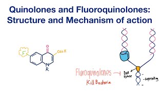 Fluoroquinolones and Quinolones Structure and Mechanism of action  Infectious Disease [upl. by Farrah]