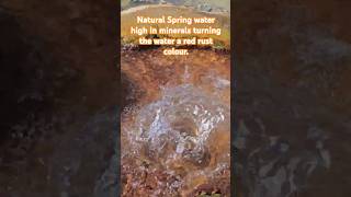 Natural Spring water high in minerals turning the water a red rust colour [upl. by Naihs]