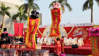 2024 New Years Day Lions Dance amp Dragons Dance Chinese Traditional Cultural Performance 香港龍獅節 [upl. by Kurman]