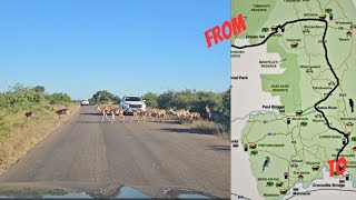 We drove  Kruger from Orpen gate to Crocodile bridge gate  EPIC sightings [upl. by Enutrof]