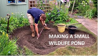 Making a Small Wildlife Pond  Timelapse  4K [upl. by Ruberta]