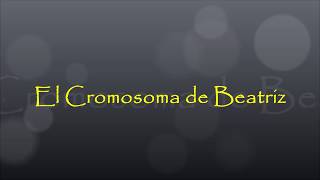 El Cromosoma Beatriz [upl. by Shewmaker]