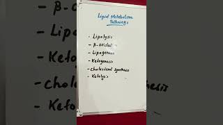 Lipid Metabolism Pathways lipids lipid metabolism metabolic [upl. by Dupin766]