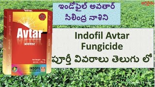 Indofil Avtar Fungicide in Telugu  ఇండోఫైల్ అవతార్ సిలింద్ర నాశిని  zineb  Hexaconazole [upl. by Rundgren]