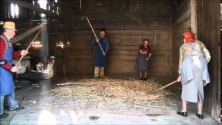 Threshing with hand flails – two pairs [upl. by Nonarb325]