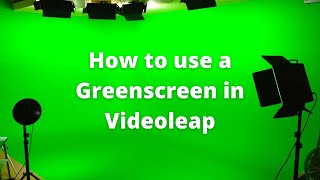 How to use Greenscreen in Videoleap [upl. by Iatnohs985]