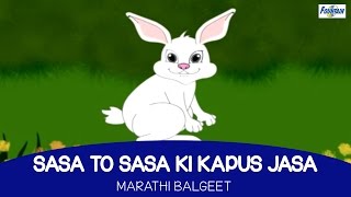 Sasa To Sasa Ki Kapus Jasa  Marathi Balgeet For Kids [upl. by Erv781]