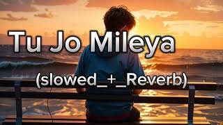 Tu Jo Mileya slowedReverb Song Punjabi MySongLofivideoslowedandreverb [upl. by Marelya]