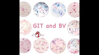 HistologyGastrointestinal Tractamp Blood VesselsGITamp BV [upl. by Ahsienaj]