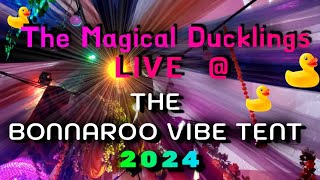 The Magical Ducklings Live at the Bonnaroo 2024 Vibe Tent [upl. by Boot]