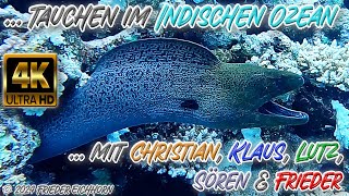 Tauchen im Indischen Ozean 🦞 🐟 🐠 [upl. by Aicnatsnoc]