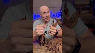 How cigars get flavor transitions cigarsdaily cigars [upl. by Brandt750]