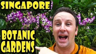 Singapore Botanic Gardens Travel Guide [upl. by Layman685]