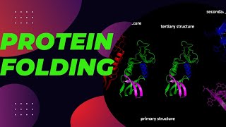 protein foldingBiochemistry molecular biology protein folding [upl. by Otreblasiul]