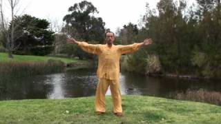 Ziran Qigong Level 1 Form  1st Half [upl. by Fretwell]