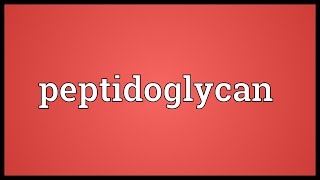 Peptidoglycan Meaning [upl. by O'Kelly]