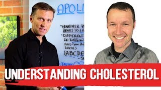 Cholesterol Basics 101 by Dave Feldman amp Dr Berg [upl. by Tremayne]