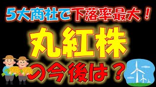 【累進配当株】５大商社で下落率最大！丸紅株の今後は？ [upl. by Kerwon937]