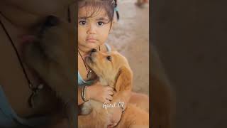 sembaruthi poove dog lover dog song love tamil [upl. by Polak471]