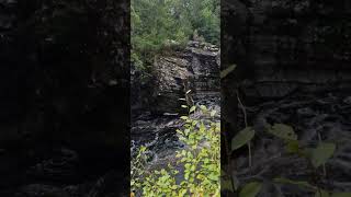 Water under the bridge White water waterfall shorts waterfall hiking [upl. by Enitsenrae219]