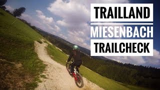 Trail Land Miesenbach LuxBikeTV Trailcheck [upl. by Caras]