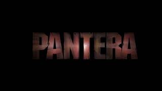 13 Steps To Nowhere Pantera Backing Track With Vocals [upl. by Fonda]