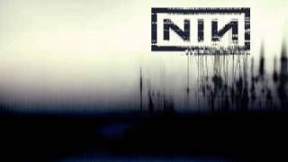 Nine Inch Nails Ringfinger REMiX HQ [upl. by Leibman518]