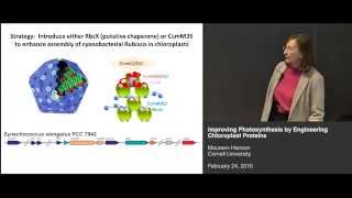 Maureen Hanson  Improving photosynthesis by engineering chloroplast proteins [upl. by Luciana]