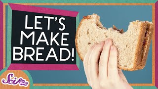 Why Does Bread Have Holes In It  The Science of Cooking  SciShow Kids [upl. by Bette-Ann]