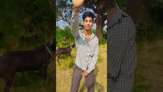 Ghanta dilogue he bhool gaya comedy funny comed duet realfools realfoolscomedy onemicstand [upl. by Ahsemik749]