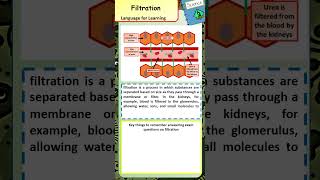 Learn Key Words for GCSE Biology What is Filtration [upl. by Priestley]