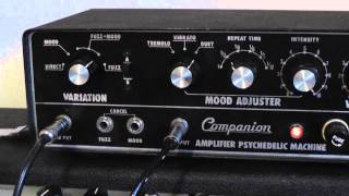 Companion Amplifier Psychedelic Machine [upl. by Ylam130]