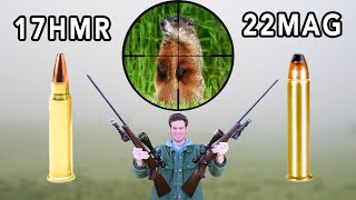 17HMR vs 22MAG Hunting [upl. by Azar]