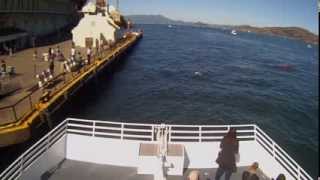 Exclusive video The first hunt by a great white shark ever recorded in San Francisco Bay [upl. by Gula993]