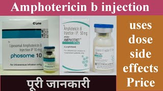 amphotericin b injection के बारे में पूरी जानकारी [upl. by Gwyn]