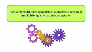 Ecofisiología de Especies Forrajeras Parte 1 [upl. by Noiwtna]