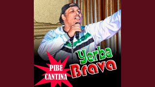 Pibe Cantina [upl. by Rainer]