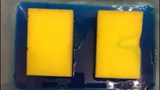 Asmr new sponges🧽🧽oddly satisfying sponge squeeze🧽🧽asmr spongesqueezing [upl. by Ocsic]