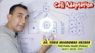 Cell Adaptation  Hyperplasia vs Hypertrophy  Dysplasia vs Metaplasia vs Neoplasia  Atrophy [upl. by Ariday]