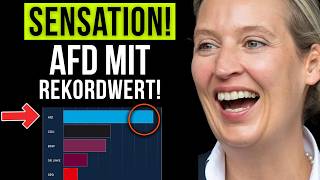 BundestagswahlUmfrage AfD erzielt HISTORISCHEN Bestwert [upl. by Evangelia341]