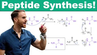 Mastering Peptide Synthesis Coupling Reagents Protecting Groups and SolidPhase Peptide Synthesis [upl. by Edvard]