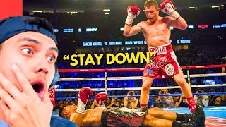 Canelo Alvarez BEST Knockouts [upl. by Lemmy328]