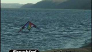 Skydog sport kites [upl. by Sitra]