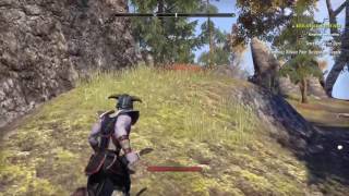 video sur un sorcier archer teso [upl. by Colver]