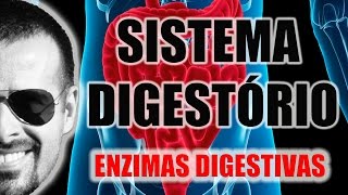 Sistema Digestório  Enzimas digestivas e processos químicos da digestão  Anatomia  VideoAula 026 [upl. by Enalda]