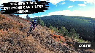 The New Golfie MTB Trail Everyone Cant Stop Riding The Wardell Way [upl. by Enyaw]