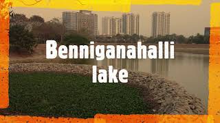 Benniganahalli Lake I Places to see in Bengaluru Episode 2 I Niraj Singh Vlogs [upl. by Theall]